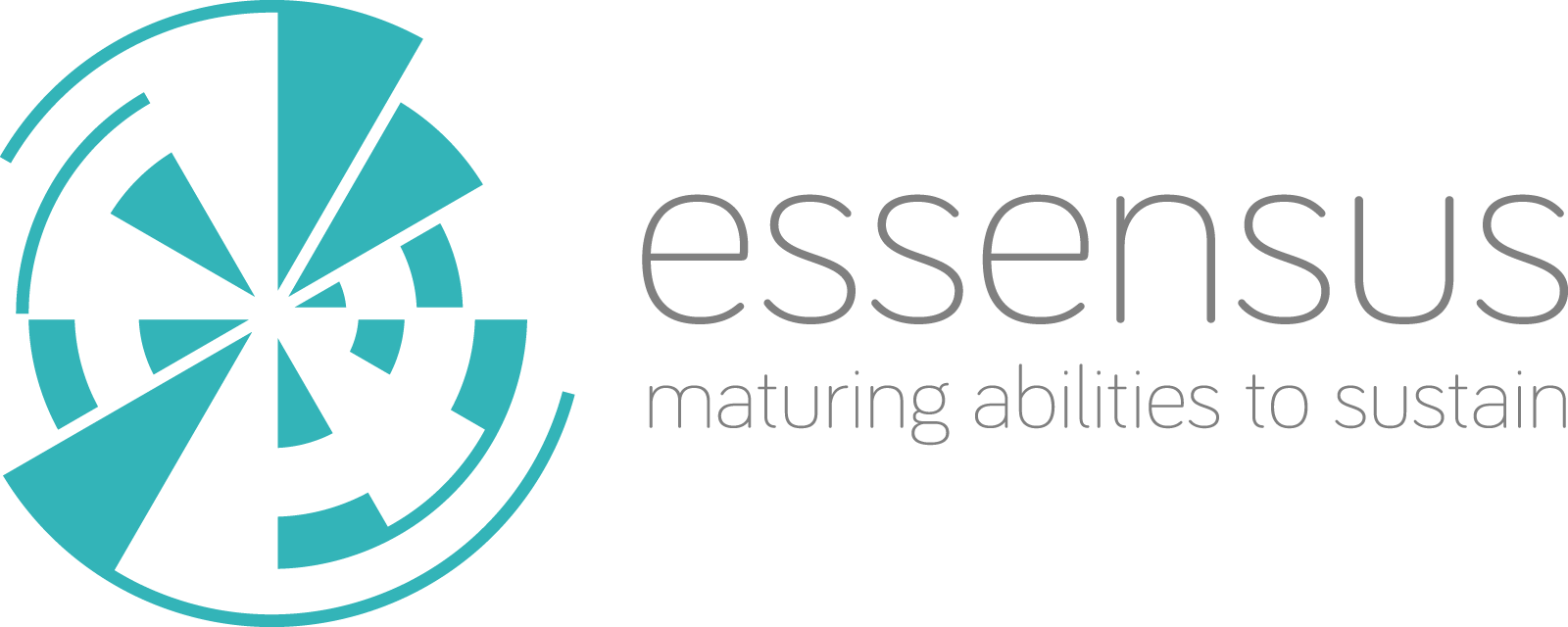 essensus - maturing abilities to sustain